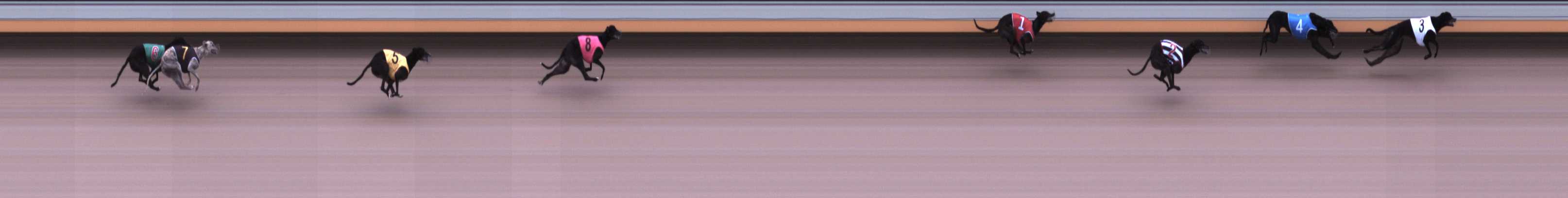 Photo finish for Warrnambool Race 2