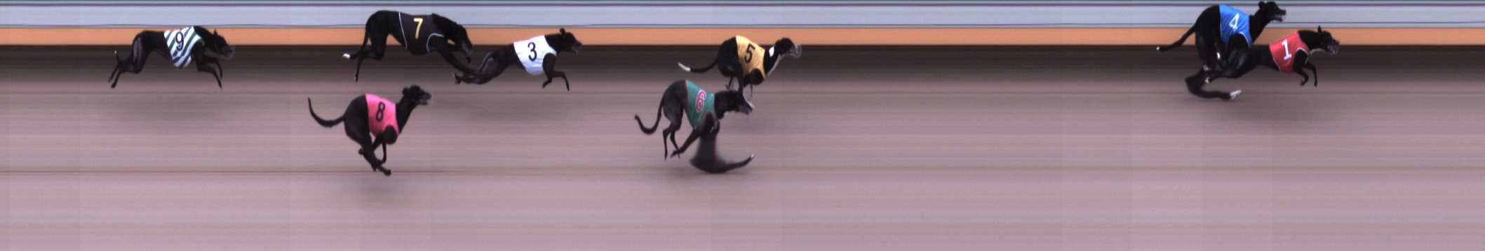 Photo finish for Warrnambool Race 3