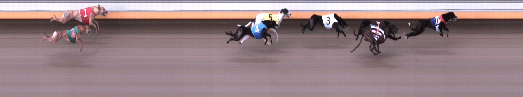 Photo finish for Warrnambool Race 4