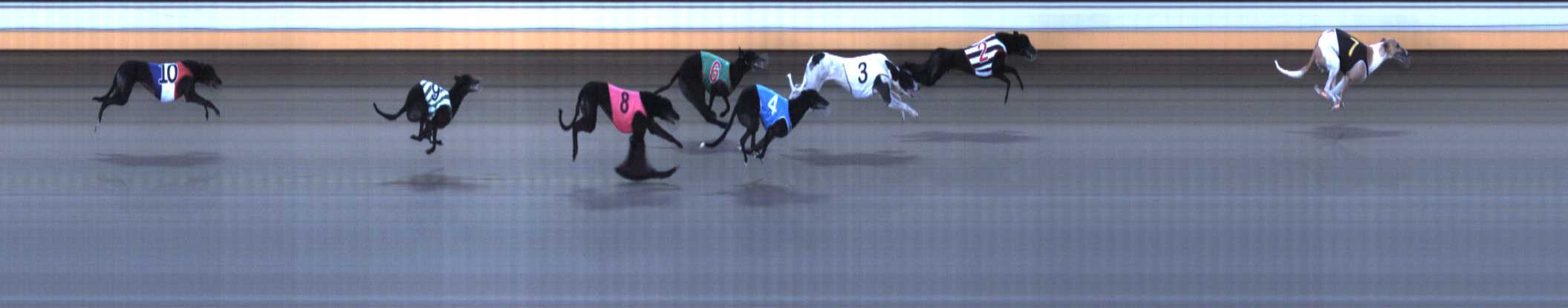 Photo finish for Warrnambool Race 6