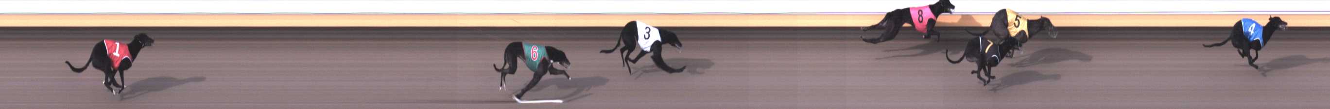 Photo finish for Warrnambool Race 1