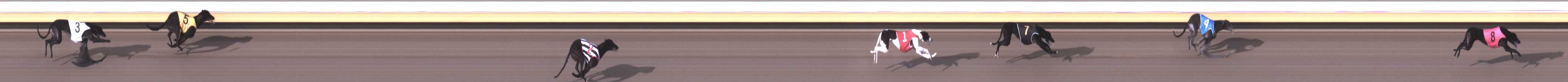 Photo finish for Warrnambool Race 2
