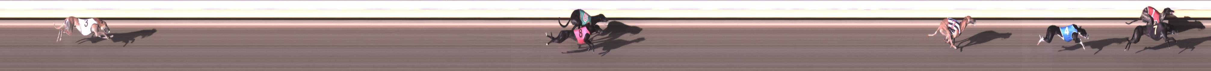 Photo finish for Warrnambool Race 3