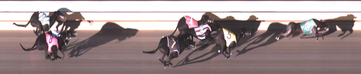 Photo finish for Warrnambool Race 5