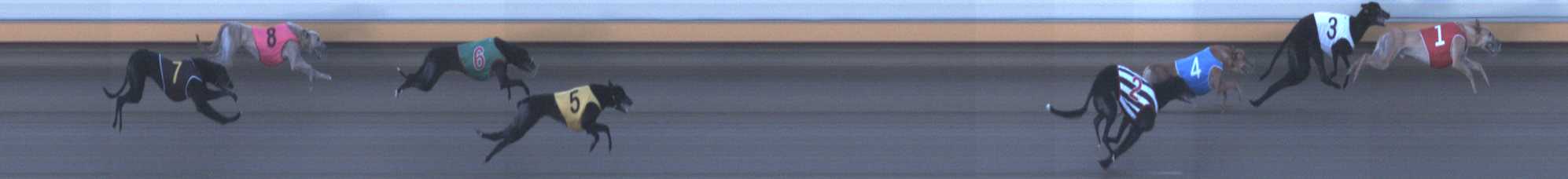 Photo finish for Warrnambool Race 6