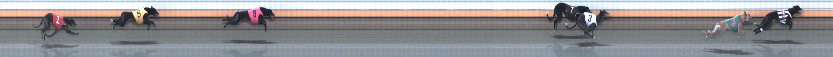 Photo finish for Warrnambool Race 9
