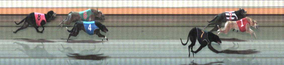 Photo finish for Warrnambool Race 11