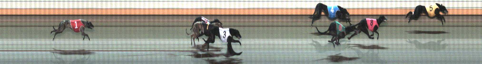 Photo finish for Warrnambool Race 12