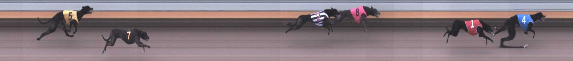 Photo finish for Warrnambool Race 1