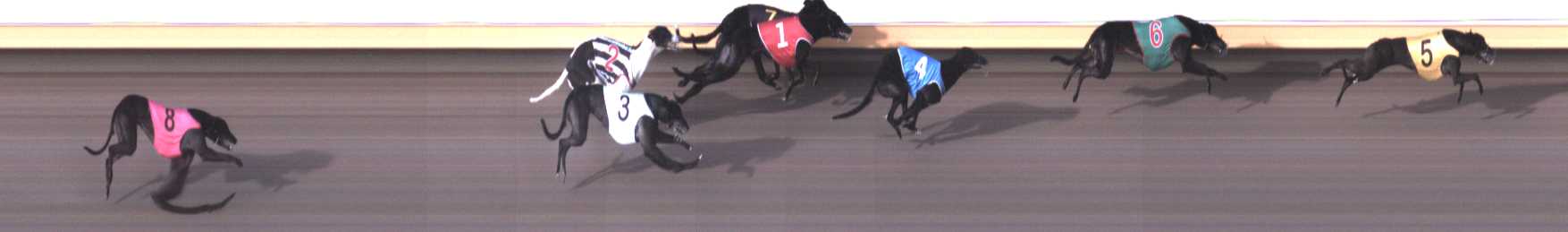 Photo finish for Warrnambool Race 3