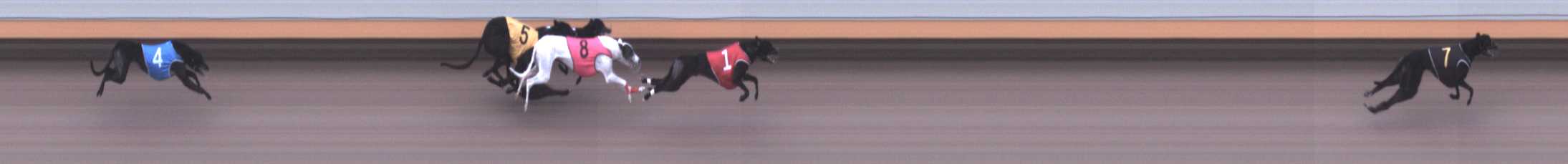 Photo finish for Warrnambool Race 4