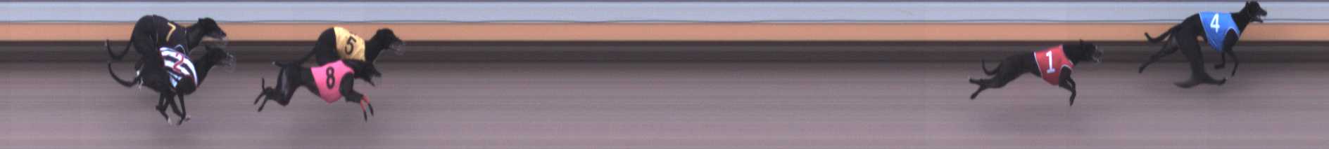 Photo finish for Warrnambool Race 5