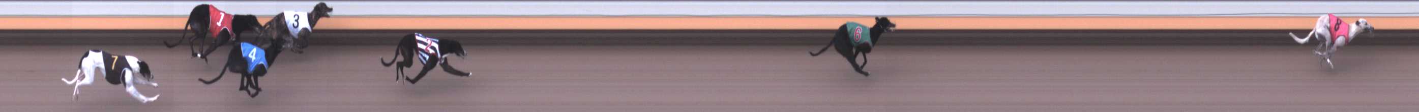 Photo finish for Warrnambool Race 6