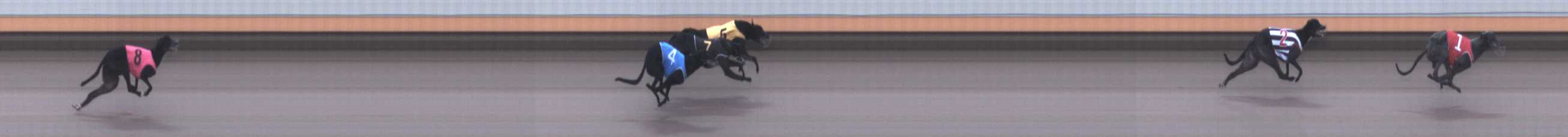 Photo finish for Warrnambool Race 7
