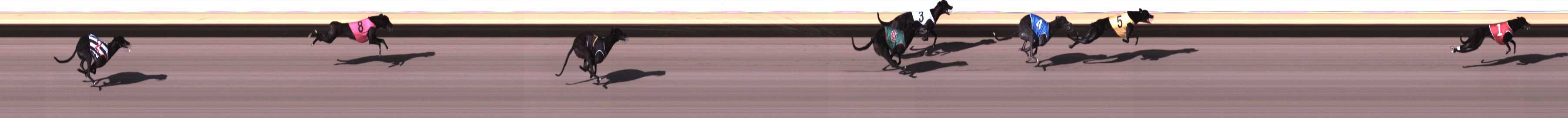 Photo finish for Warrnambool Race 1