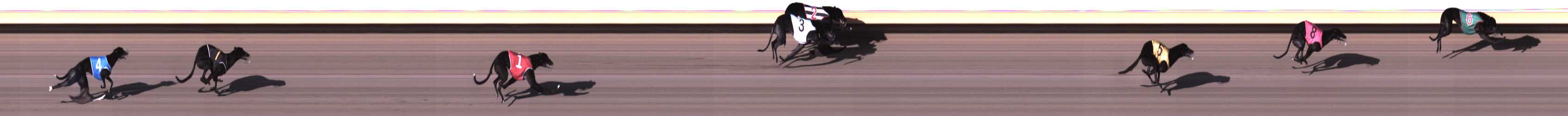 Photo finish for Warrnambool Race 2