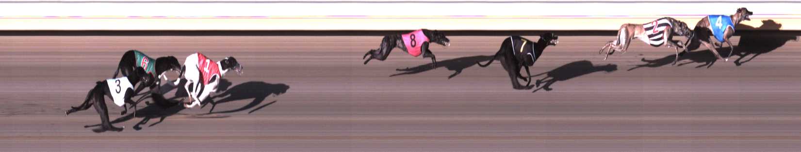 Photo finish for Warrnambool Race 3