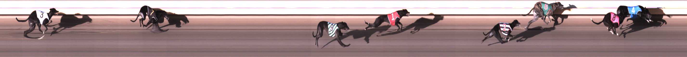 Photo finish for Warrnambool Race 4