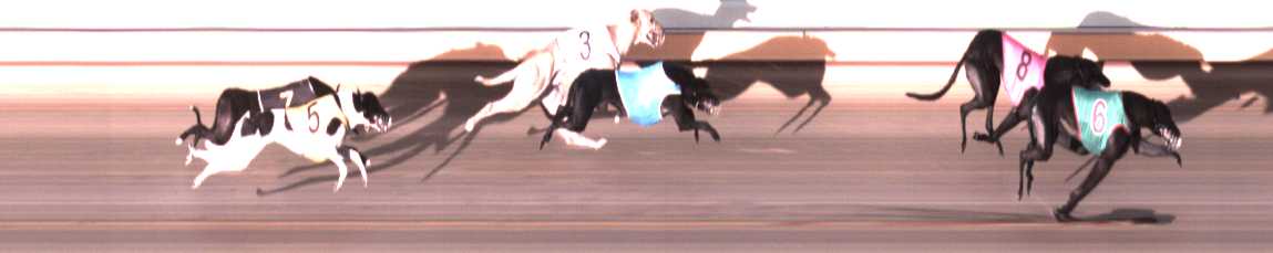 Photo finish for Warrnambool Race 6