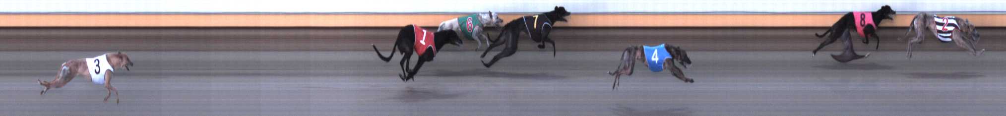 Photo finish for Warrnambool Race 7