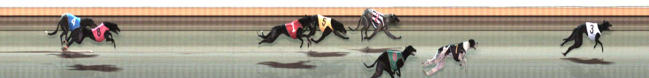 Photo finish for Warrnambool Race 10