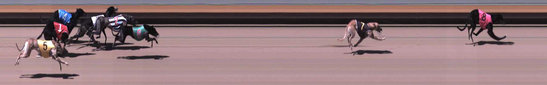 Photo finish for Warrnambool Race 1