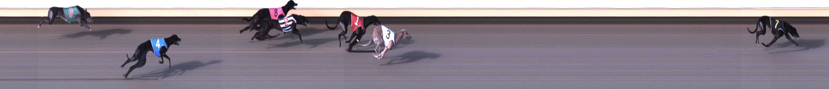Photo finish for Warrnambool Race 1