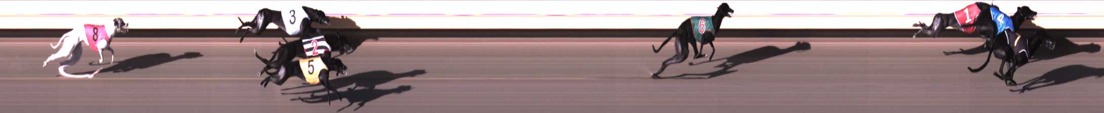 Photo finish for Warrnambool Race 2