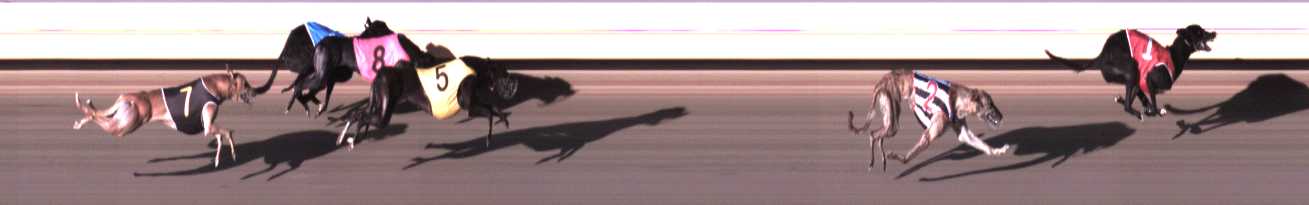 Photo finish for Warrnambool Race 3