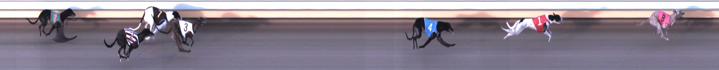 Photo finish for Warrnambool Race 6