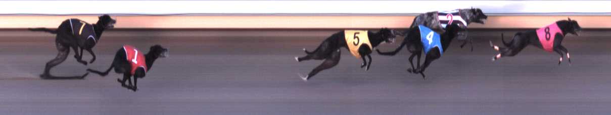 Photo finish for Warrnambool Race 7