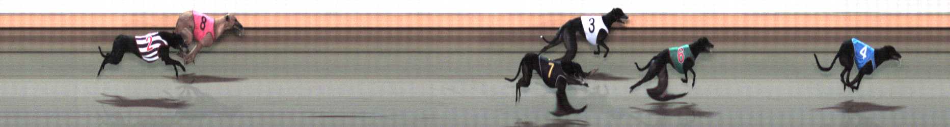 Photo finish for Warrnambool Race 10