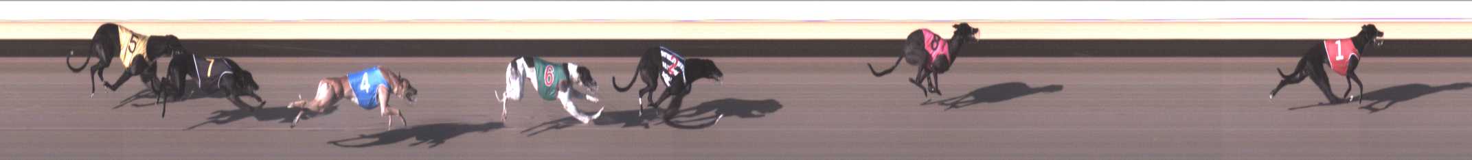 Photo finish for Warrnambool Race 3