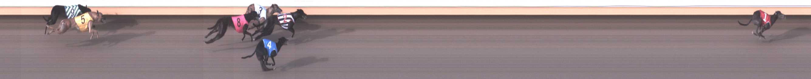 Photo finish for Warrnambool Race 4