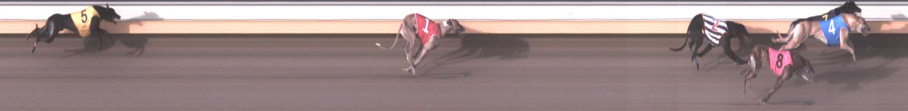 Photo finish for Warrnambool Race 5