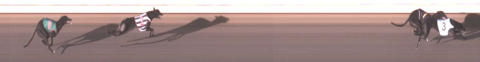 Photo finish for Warrnambool Race 6