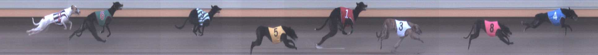 Photo finish for Warrnambool Race 7