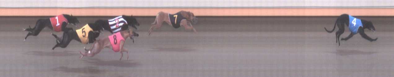 Photo finish for Warrnambool Race 9