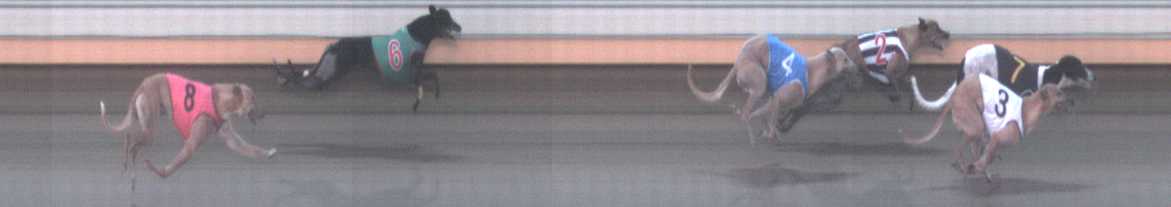 Photo finish for Warrnambool Race 10
