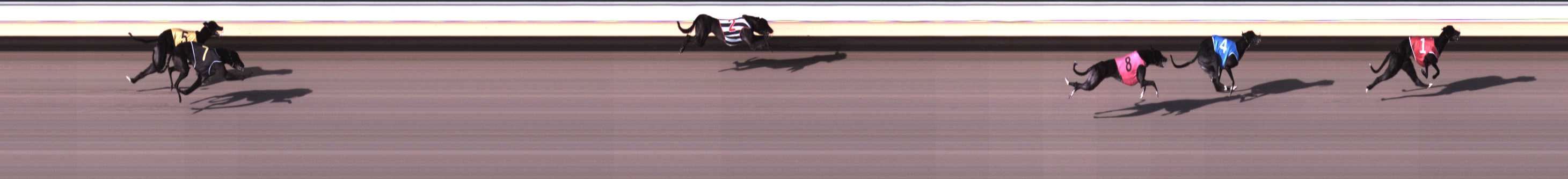 Photo finish for Warrnambool Race 1