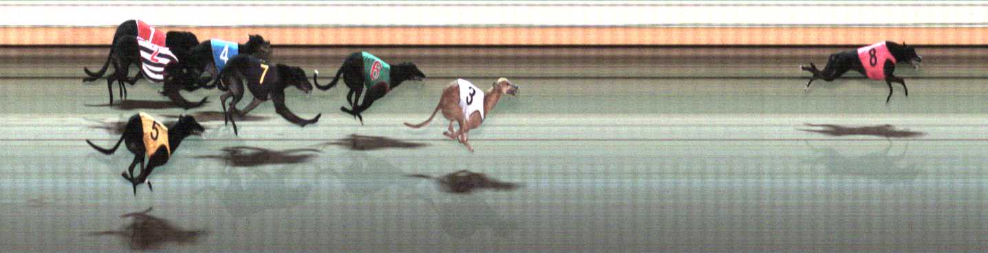 Photo finish for Warrnambool Race 11