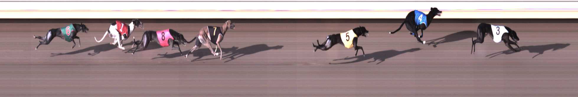 Photo finish for Warrnambool Race 2