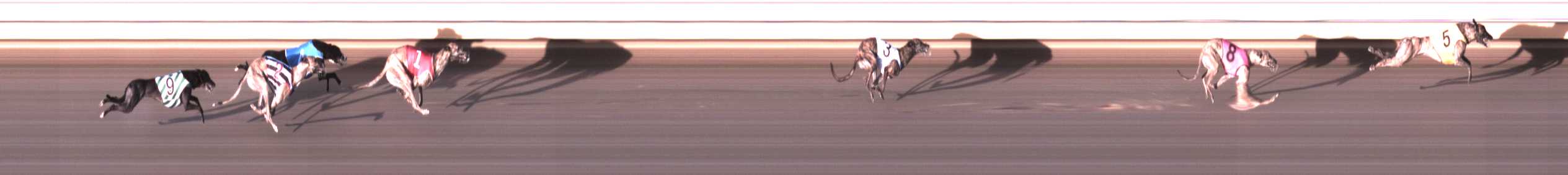 Photo finish for Warrnambool Race 5