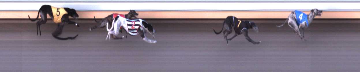 Photo finish for Warrnambool Race 6