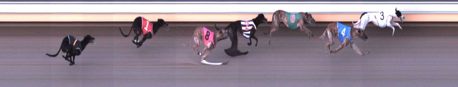 Photo finish for Warrnambool Race 7