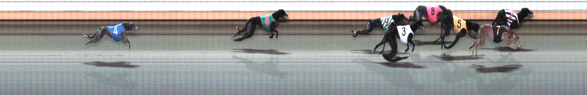 Photo finish for Warrnambool Race 9