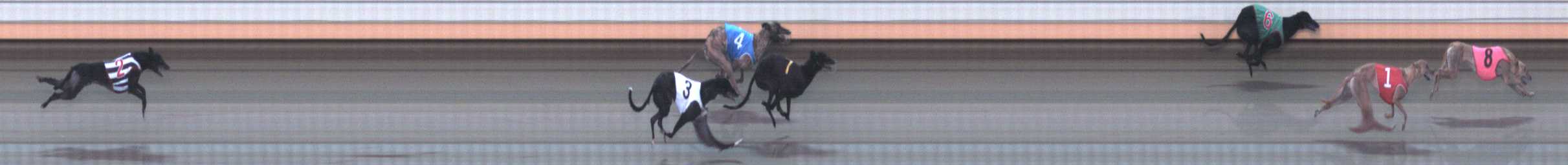 Photo finish for Warrnambool Race 6