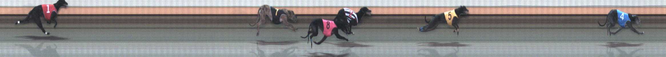 Photo finish for Warrnambool Race 7