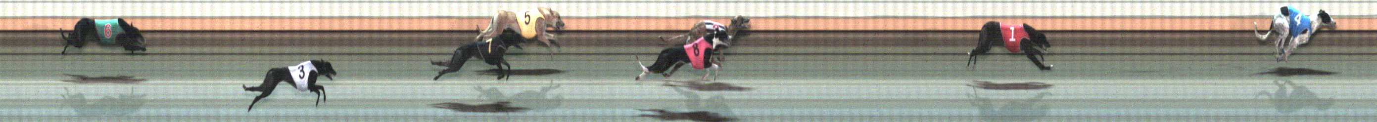Photo finish for Warrnambool Race 9