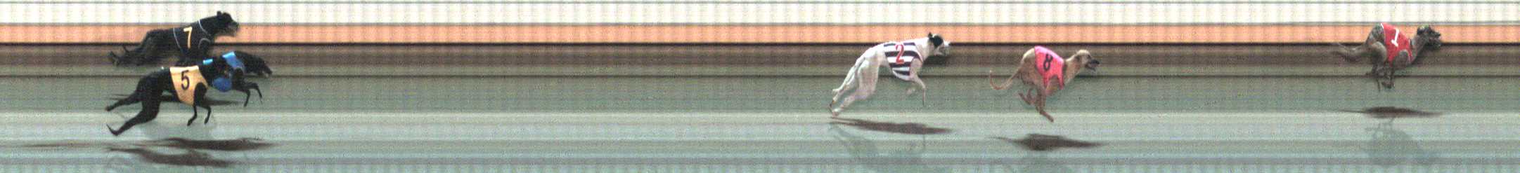 Photo finish for Warrnambool Race 10